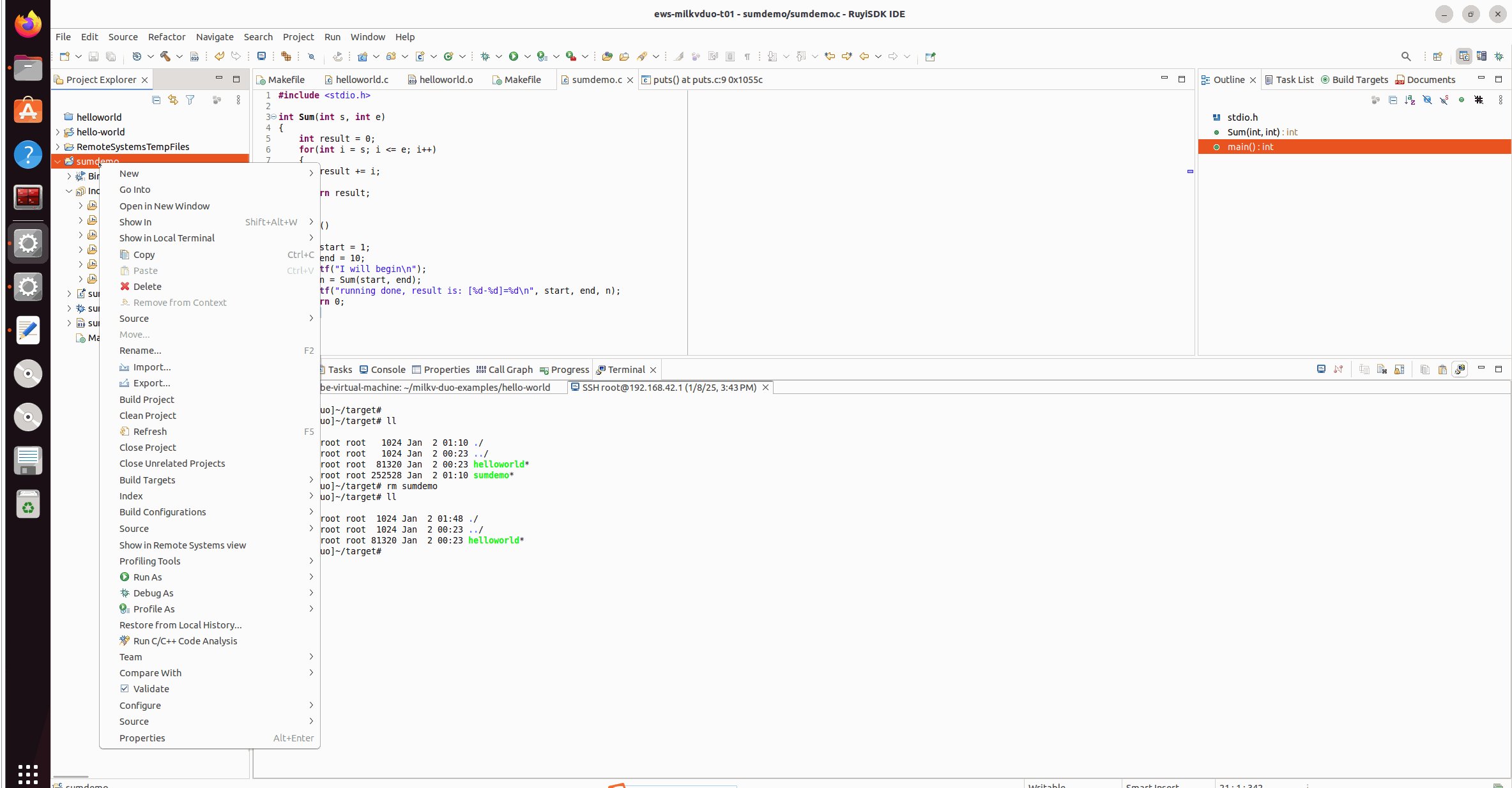 Successful remote run with Skip download to target path checked